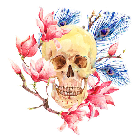 Vintage watercolor natural card with human skull and pink flowers Magnolia, peacock feathers. Hand drawn illustration isolated on white, tattoo design in boho styleの写真素材