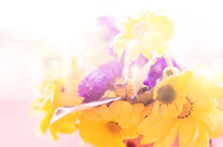 Spring natural background with yellow flowersの写真素材