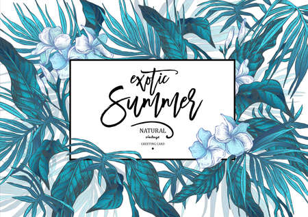 Vector Summer Leaves Vintage Exotic Greeting Cardのイラスト素材