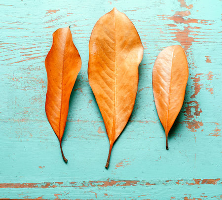Top view of few orange leaves lying in row on shabby blue table.