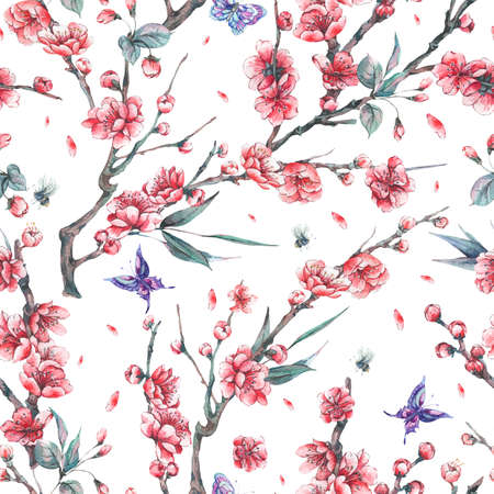 Watercolor seamless pattern with blooming branches of cherryの写真素材