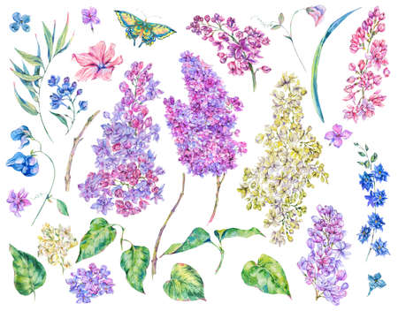 Set of watercolor spring nature floral elementsの写真素材
