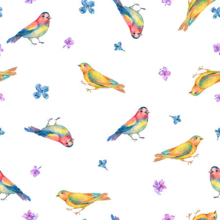 Watercolor seamless pattern with birdsの写真素材