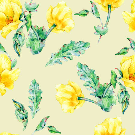 Watercolor summer seamless pattern of Horned Poppy yellow flowersの写真素材