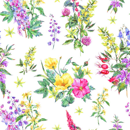 Watercolor summer seamless pattern of medicinal flowersの写真素材