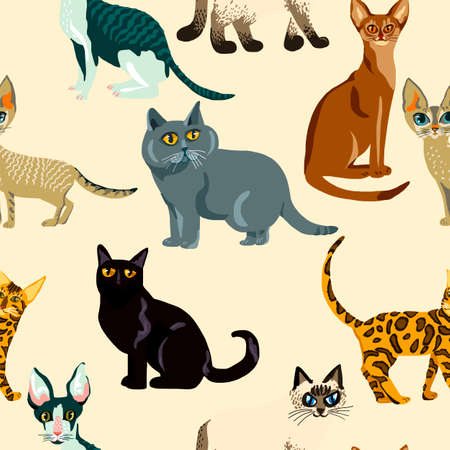 Cartoon cats seamless pattern,  Illustration  breeds of catsのイラスト素材
