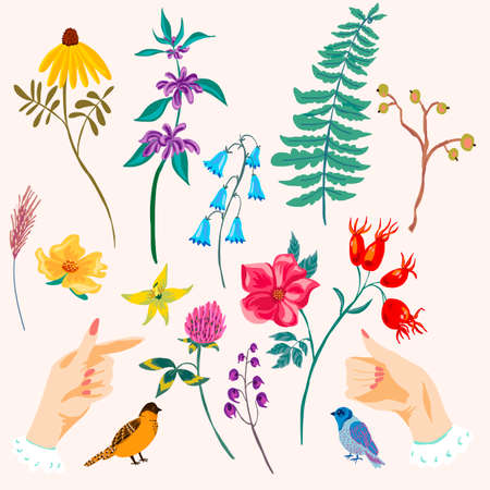 Hands and flowers cute decorative setのイラスト素材