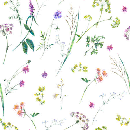 Watercolor summer wildflowers seamless patternの写真素材
