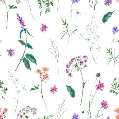 Watercolor summer wildflowers seamless patternの写真素材