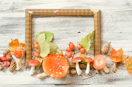 Mushrooms and leaves near frame, nature autumn card
