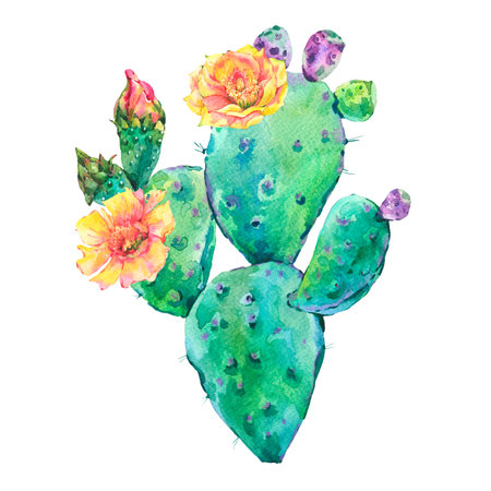Exotic natural vintage watercolor blooming cactus greeting cardの写真素材