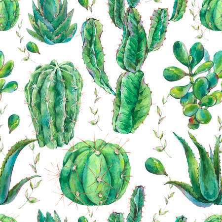 Exotic natural vintage watercolor cactus seamless pattern.の写真素材