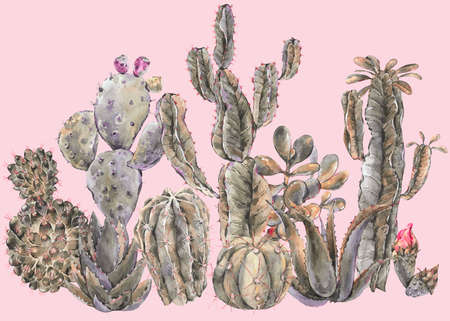 Exotic natural vintage watercolor cactus greeting card.の写真素材