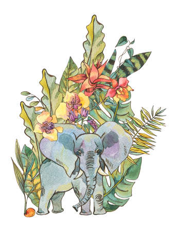 Watercolor jungle illustration, Natural Exotic Tropical Greetingの写真素材