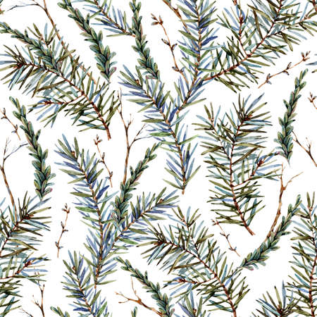 Watercolor forest seamless  with sprig of fir trees.の写真素材