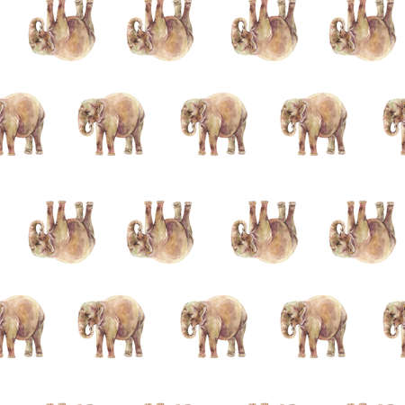 Elephant watercolor seamless pattern on white background. Jungle animals wallpaper.の写真素材