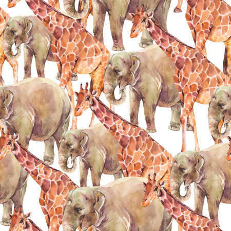 Elephant, Giraffe watercolor seamless pattern on white background. Jungle, safari animals.の写真素材