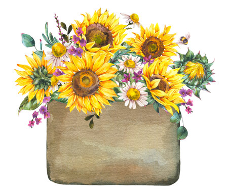 Watercolor rustic farmhouse sunflower label. Wildflowers, meadow flowers bouquet.の写真素材