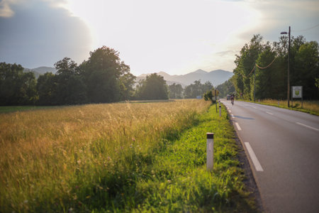 Summer meadow landscape. Sunset with a road. Wildflowers valley, A road next to a field