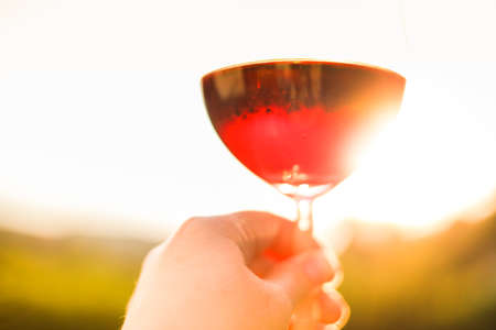 Man's hand holding glass of red wine, sunset wine drinking, summertime blurred backgroundの写真素材
