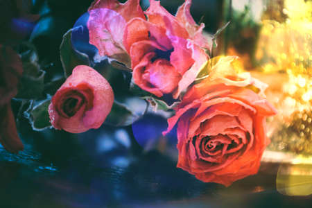Delicate dry roses on an abstract background with bokeh. Aesthetic elegant floral textureの写真素材