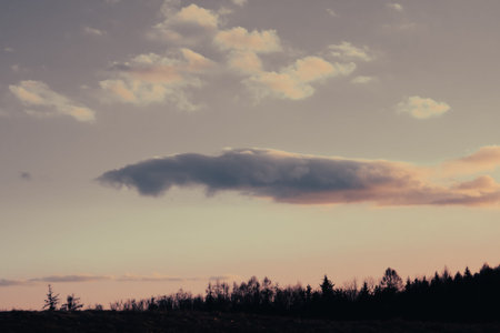 Silhouettes of trees against the sunset sky.の写真素材
