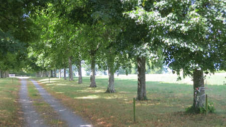 Landscape with fork rural roads in forest, Nernier Mediaval village, France.の写真素材