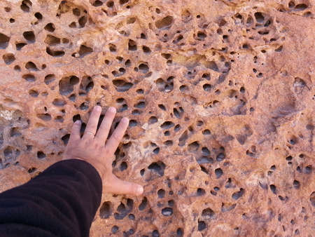 Stone erosion details in Altiplano desert, Bolivia, South America.の写真素材