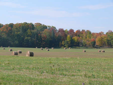 Canadian farm, North Americaの写真素材