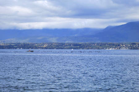Leman lake near Geneva in Switzerland, Europeの写真素材