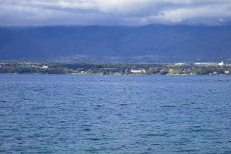 Leman lake near Geneva in Switzerland, Europeの写真素材