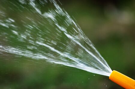 garden sprinklingの写真素材