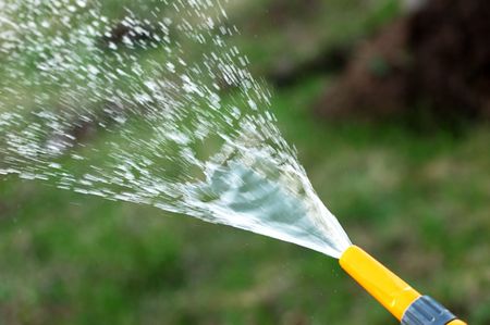 garden sprinklingの写真素材