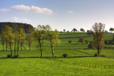 rural german landscape near Paderborn in springの写真素材