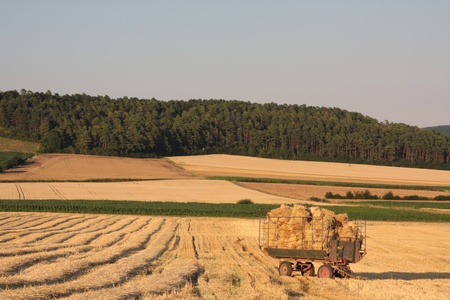 trailer with straw bales on harvested fieldの写真素材