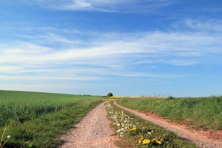 dirt track in rural landscape, germanyの写真素材