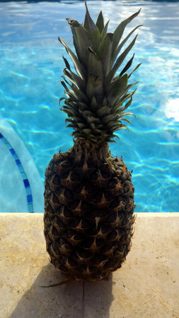 Pineapple by the pool 2