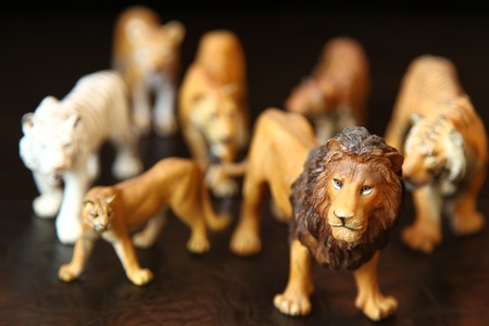 miniature little animalsの写真素材