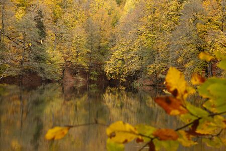Seven Lakes national park at Turkeyの写真素材