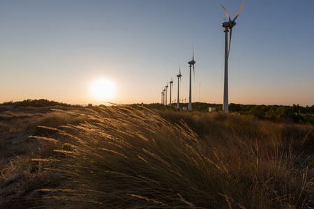 wind turbines generating clean power at sunsetの写真素材