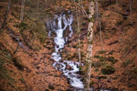 little river and autumn seasonの写真素材