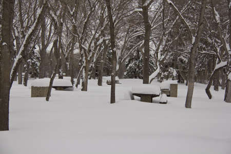 Deserted snow covered park benches during the winter season in Regina, Canadaの写真素材