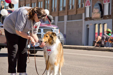 A young woman giving water to a thirsty dog at the Queen City Ex Paradeのeditorial素材