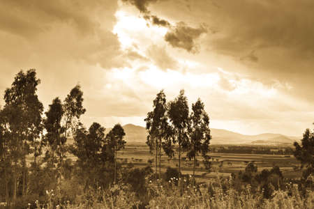 A rural lanscape in a small village with trees and shrubs in the foreground and mountains in a distanceの写真素材