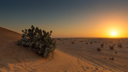 Sun rising in the arid desert landscapes of the United Arab Emiratesの写真素材
