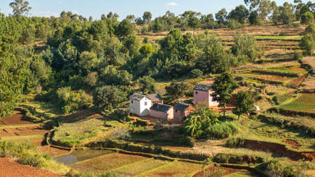 Houses made of bricks on a hilly landscape alongside a typical Malagasy rice farmの写真素材