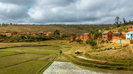 Malagasy homes build along the hills of  the central highlands of Madagascarの写真素材