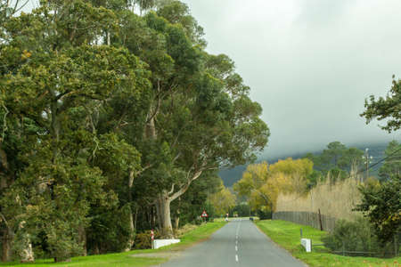 A small asphalt road cutting through the picturesque landscapes of the Western Cape regions of South Africaの写真素材