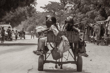 Mbour, Senegal - July, 2014: Local villagers in the outskirts of the city of Mbour hop on a cart pulled by a horse on their way to the market on July 9, 2014 in Mbour, Senegalのeditorial素材