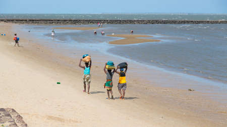 Maputo â Nov 27: The local residents of Maputo collect shellfish along the beach of Maputo Bay â Maputo, Mozambique, November 27, 2014のeditorial素材